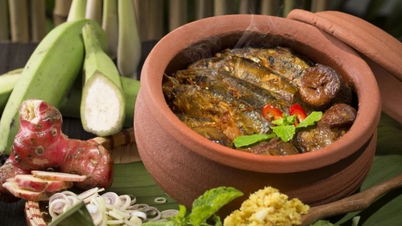ការញ៉ាំត្រីឱ្យបានត្រឹមត្រូវ - គន្លឹះមាសឆ្ពោះទៅរកភាពចាស់ជរាដែលមានសុខភាពល្អ។