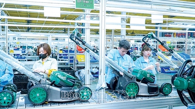 Keunggulan yang menjadikan Kawasan Industri Lien Ha Thai menarik bagi investor.