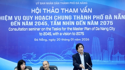 ¿El plan maestro de la ciudad de Da Nang apunta a un modelo de “megaciudad”?