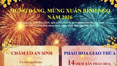 Tay Ninh: Över 239 miljarder VND har anslagits för att stödja familjer till personer som mottagit socialbidrag, de som har gjort förtjänstfulla tjänster för revolutionen och socialbidragstagare.