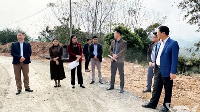Levantamento do projeto de estabilização da população em áreas particularmente desfavorecidas na comuna de Phuc Loc.