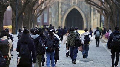 ChatGPT meraih nilai sempurna 9 dari 15 mata pelajaran dalam ujian masuk universitas Jepang.