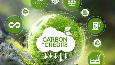 Detaillierte Regelungen zum CO2-Handel: HNX betreibt den Handel, VSDC wickelt die Abrechnungen ab.