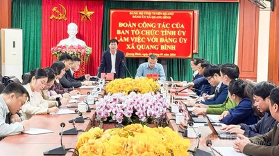Kumpulan kerja Jabatan Organisasi Jawatankuasa Parti Wilayah Tuyen Quang telah bekerjasama dengan Jawatankuasa Parti Komune Quang Binh.