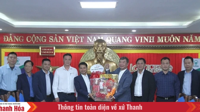"Mês de Apreciação do Cliente" 2025, Companhia de Energia Thanh Hoa