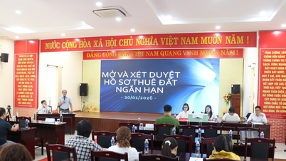 Da Nang continues to lease public land for short periods.