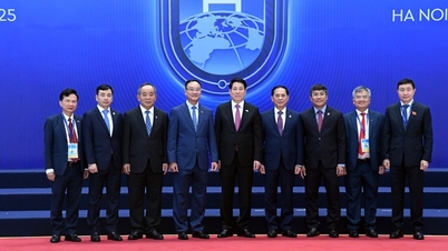 Comunidad internacional: La “diplomacia del bambú” ayuda a Vietnam a afirmar su firme posición.