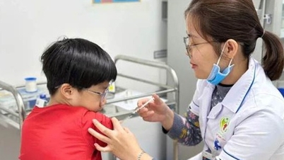 Timely and effective implementation of the Law on Disease Prevention nationwide.