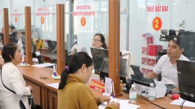 Wad Tay Nha Trang mencatatkan pertumbuhan yang mengagumkan.