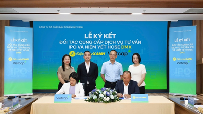 Dien May Xanh oficjalnie ogłasza plan IPO na 2026 rok.