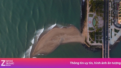 Im Meer vor Nha Trang sind delfinförmige Sanddünen entstanden.