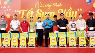 Ho Chi Minh-staden förbjuder strängt användning av offentliga medel för att ge Tet-gåvor till ledare.