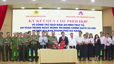 Da Nang memastikan keselamatan dan ketenteraman, serta keselamatan aktiviti kredit dasar sosial.
