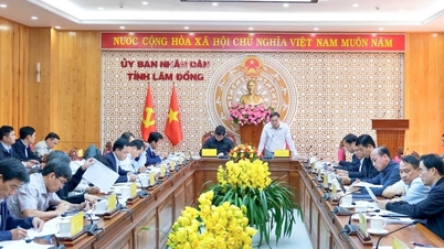 La provincia de Lam Dong revisa su plan de inversión pública a mediano plazo para el período 2026-2030.