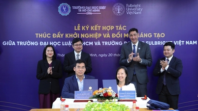 Universiti Undang-undang Bandar Raya Ho Chi Minh dan Universiti Fulbright Vietnam bekerjasama untuk menggalakkan keusahawanan dan inovasi.