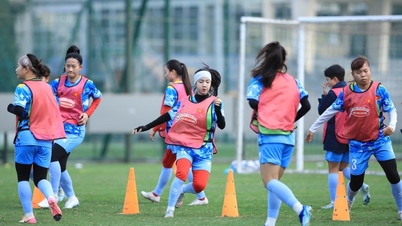 يركز المنتخب الوطني الفيتنامي للسيدات على التدريب البدني استعداداً لبطولة آسيا.