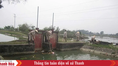 ក្រុមហ៊ុនទទួលខុសត្រូវមានកម្រិត Song Chu One-Member៖ ធ្វើត្រាប់តាមកម្លាំងពលកម្មច្នៃប្រឌិតសម្រាប់ការប្រមូលផលដ៏បរិបូរណ៍នៅក្នុងវាលស្រែ។