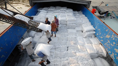 Se preconizează că peste 7 milioane de tone de orez vor fi exportate în 2026.