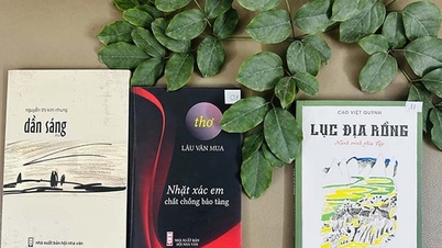 Der Young Author Award 2025 für den Gedichtband von Lau Van Mua wurde aberkannt.