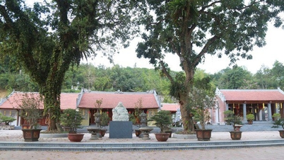 নিন বিন: এনগো জা প্যাগোডা এবং এর ১,০০০ বছরের পুরনো জাতীয় সম্পদ পরিদর্শন।