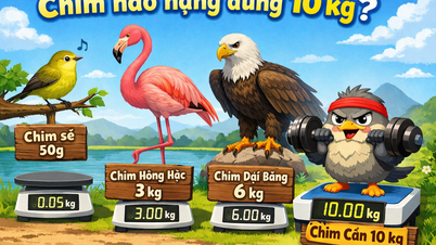 ปริศนาชวนคิด: นกชนิดใดมีน้ำหนัก 10 กิโลกรัมพอดี?