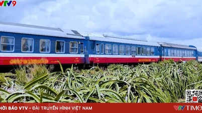 ハノイ-ホーチミン市鉄道のアップグレードへの投資提案。