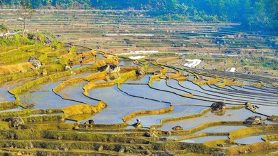 Westerse toeristen maken graag foto's van de terrasvormige rijstvelden in Pu Luong tijdens het watergeefseizoen.