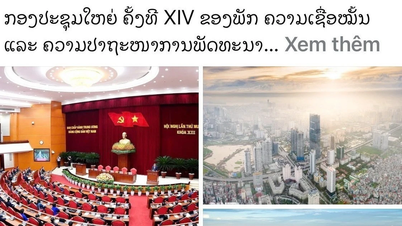 国際メディアが党の第14回全国代表大会について報道。