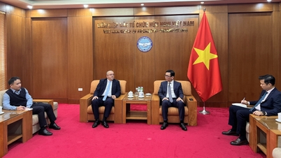 Diplomasi rakyat-ke-rakyat berfungsi sebagai jambatan yang kukuh dalam hubungan Vietnam-Cuba.