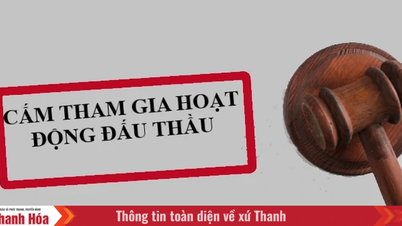 ក្រុមហ៊ុន HG Construction Joint Stock Company ត្រូវបានហាមឃាត់មិនឱ្យចូលរួមក្នុងដំណើរការដេញថ្លៃនៅក្នុងឃុំ និងសង្កាត់ចំនួន 6។