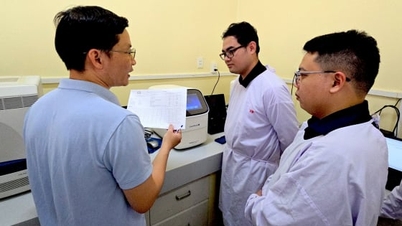 Vietnam and Cambodia cooperate in preventing transboundary animal diseases.
