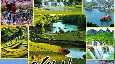 Focar na melhoria da qualidade e da competitividade do turismo vietnamita.