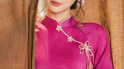 ភាពចម្រូងចម្រាសផ្ទុះឡើងជុំវិញព័ត៌មានលម្អិតលើពិធីបុណ្យតេតអាវដៃដែលស្រដៀងនឹងសម្លៀកបំពាក់បរទេស។