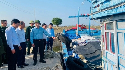 Thanh Hoa eyaleti, yasa dışı, bildirilmemiş ve düzenlenmemiş (IUU) balıkçılıkla mücadele kapsamındaki 19 görevin tamamını bitirdi.