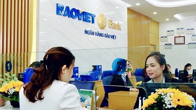 A BAOVIET Bank megerősíti növekedési alapjait 2025-re.