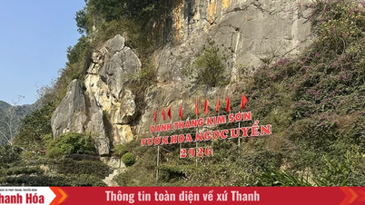 La région pittoresque de Kim Son – un lieu où beauté naturelle et culture se rencontrent.