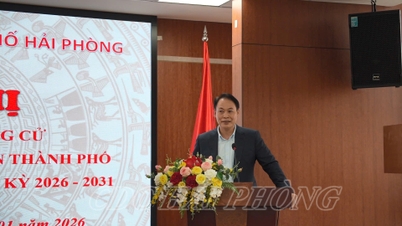 Le département de la santé de Hai Phong a désigné des candidats pour le Conseil populaire de la ville pour le mandat 2026-2031.