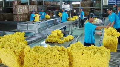 2025년 전 세계 고무 공급량은 수요량보다 70만 톤 부족할 것으로 예상됩니다.