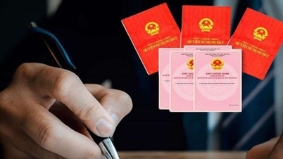 Uchwała 254/2025/QH15: Dwa kolejne przypadki kwalifikujące się do wydania pierwotnego tytułu własności ziemi od 2026 r.