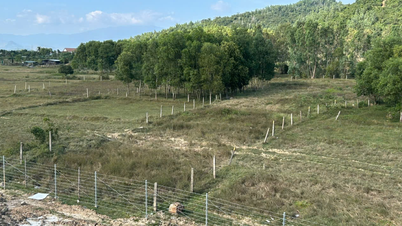 Vorschlag zum Bau von Zufahrtsstraßen für Anwohner entlang der Autobahn zu landwirtschaftlichen Flächen im Bezirk Ninh Hoa: Keine Grundlage für einen Beschluss.