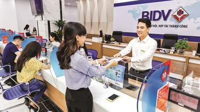 Enhancing the role of state-owned commercial banks in providing capital to the economy.