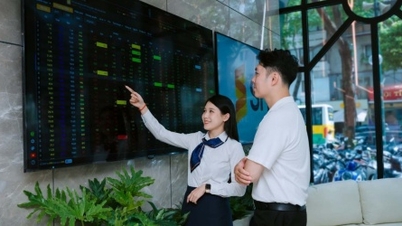 SHS telah melebihi sasaran keuntungan 2025 sebanyak 21%, secara beransur-ansur membentuk model pertumbuhan berdasarkan "Penjenamaan Perkhidmatan".