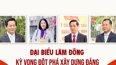 Reprezentanții provinciei Lam Dong se așteaptă la progrese în construirea partidului și dezvoltarea resurselor umane.