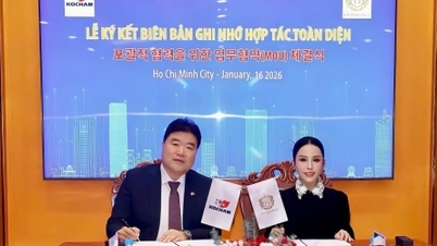 Компании KOCHAM и KN Holdings подписали соглашение о сотрудничестве для содействия инвестициям в индустриальные парки в провинции Донг Най.