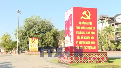 Hoppet från Dien Bien Phu pekar mot partiets 14:e nationella kongress.