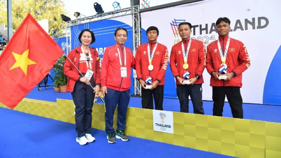 Команда з плавання виграла перші чотири медалі для Паралімпійської збірної В'єтнаму.