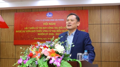 Hai Phong havn: 100 % av velgerne uttrykte tillit til å nominere to tjenestemenn til å stille som representant for nasjonalforsamlingen i den 16. perioden.