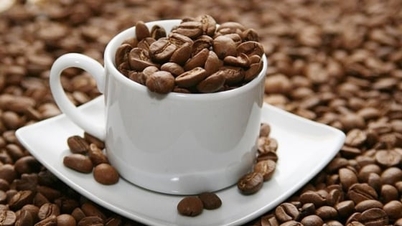 Kaffeepreise heute, 21. Januar 2026: Der Markt bricht stark ein.