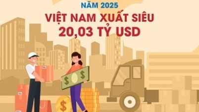 Vietnam'ın 2025 yılında 20,03 milyar dolarlık ticaret fazlası vermesi öngörülüyor.