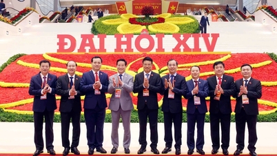 Jabatan Pendakwaan merupakan komponen penting dalam membina sistem kehakiman yang profesional, moden, adil, teliti dan jujur.